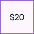 $20