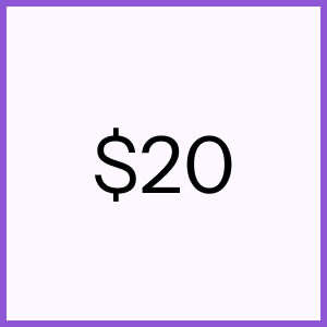 $20